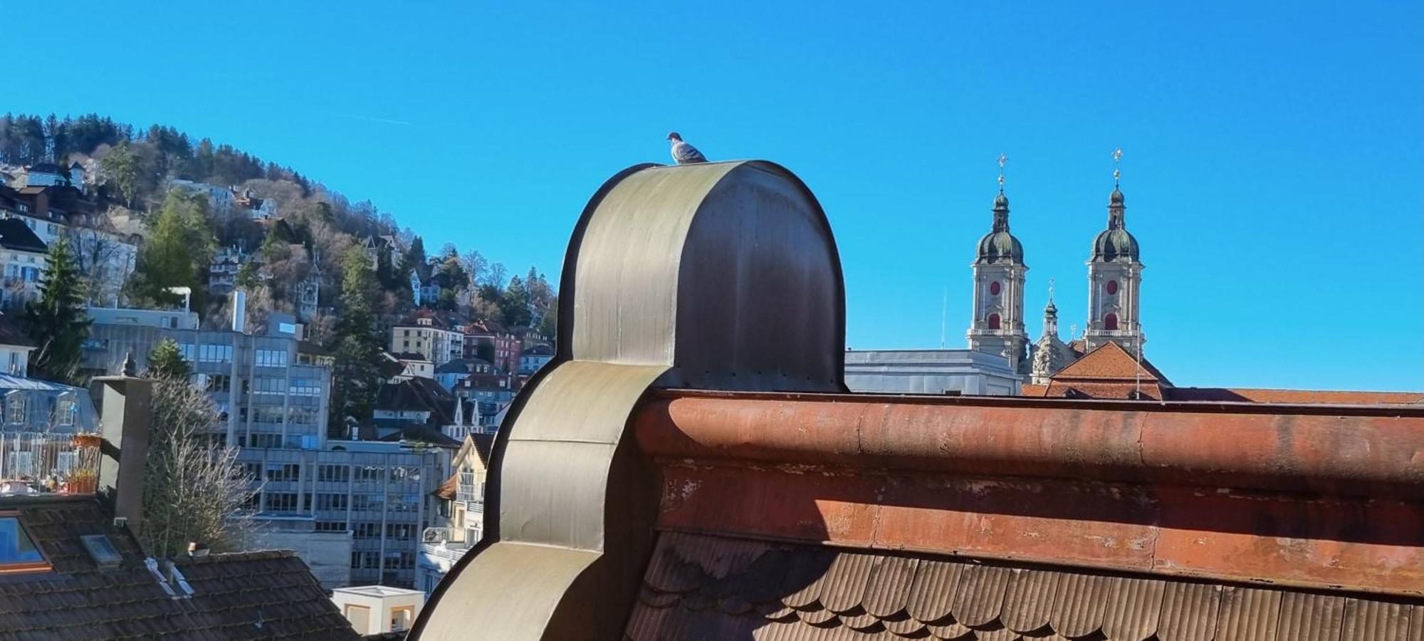 Ruhige, Neue Dachwohnung An Altstadt, Naehe Messe サンクト・ガーレン エクステリア 写真